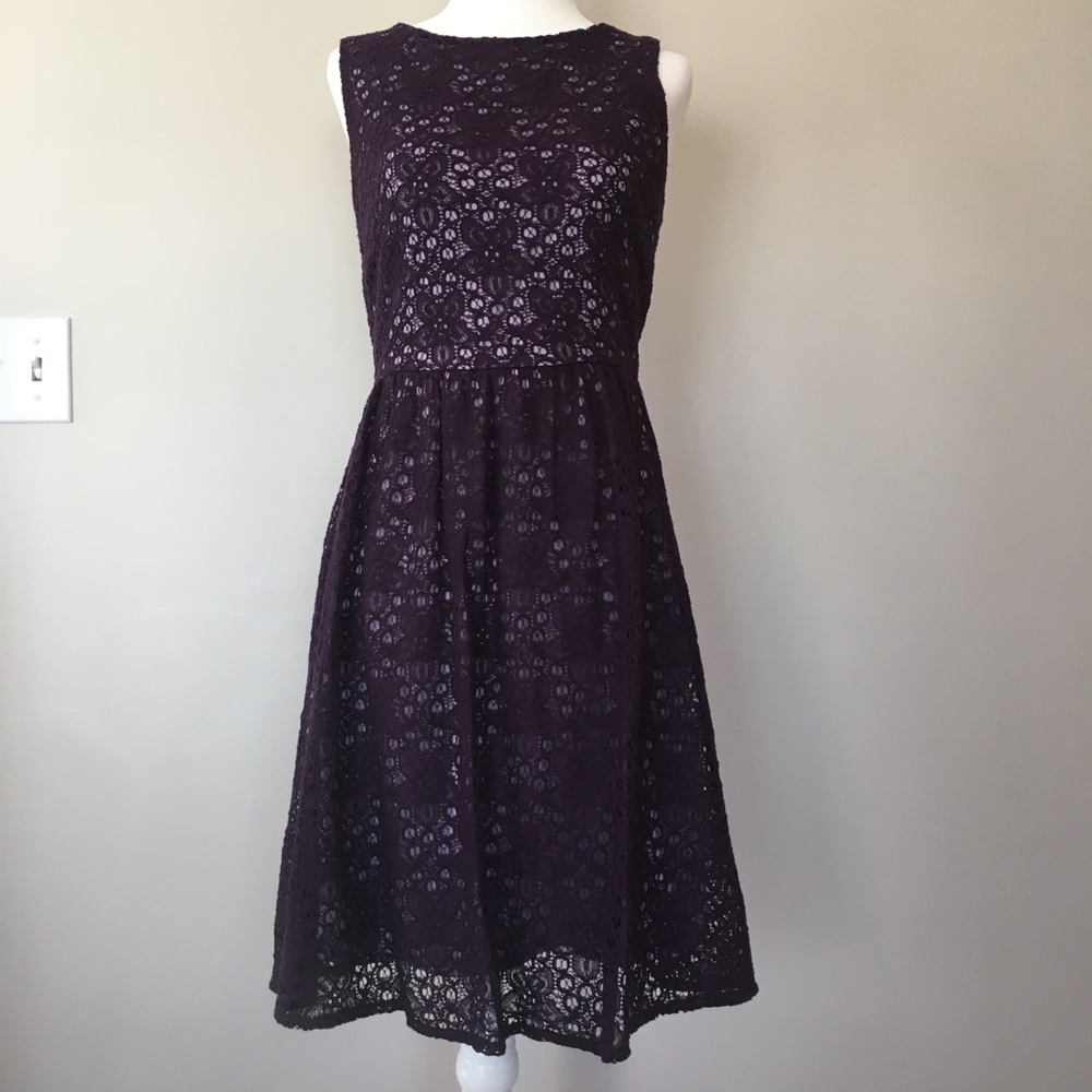 The Limited Plum Lace Dress